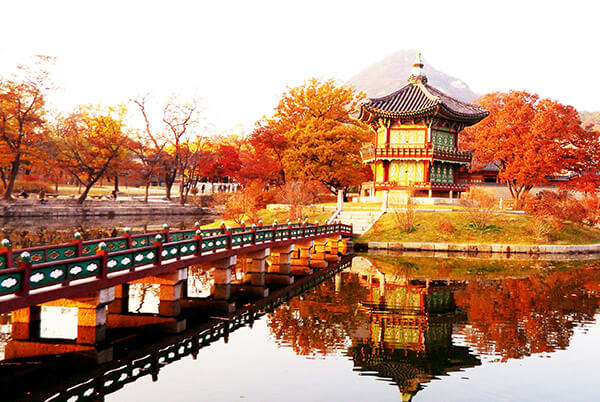 Cung điện Gyeongbokgung vào mùa thu lá đỏ