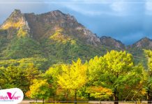 Vườn quốc gia Hàn Quốc mùa Thu