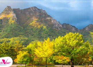 Mùa Thu Hàn Quốc bắt đầu từ tháng 9 đến tháng 11 Vườn quốc gia Hàn Quốc mùa Thu