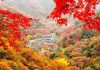 Thời điểm lý tưởng để du lịch Hàn Quốc mùa thu