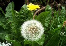 Indonesia điểm đến du lịch hấp dẫn và thú vị, du khách quên luôn cả lối về khi đặt chân đến đất nước xinh đẹp này