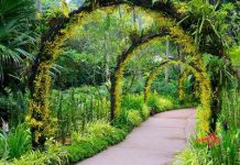 Du lịch Singapore vào mùa Thu là tuyệt vời nhất!