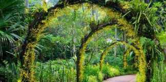 Du lịch Singapore vào mùa Thu là tuyệt vời nhất!