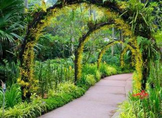 Du lịch Singapore vào mùa Thu là tuyệt vời nhất!