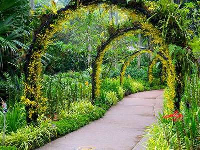 Du lịch Singapore vào mùa Thu là tuyệt vời nhất!