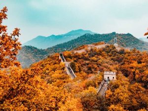 Cây lá chuyển màu khiến cho khắp xứ Trung Hoa như được thay áo mới