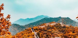 Cây lá chuyển màu khiến cho khắp xứ Trung Hoa như được thay áo mới