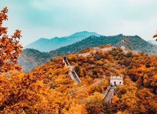 Cây lá chuyển màu khiến cho khắp xứ Trung Hoa như được thay áo mới