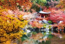 Vì sao bạn nên đi tour du lịch mùa thu Trung Quốc? Khí hậu dễ chịu, cảnh quan say đắm lòng người