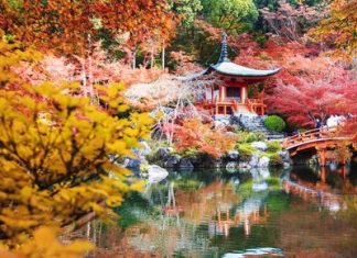 Khí hậu dễ chịu, cảnh quan say đắm lòng người