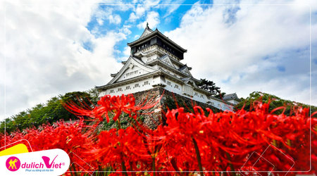 Lắng nghe truyền thuyết hoa Bỉ Ngạn