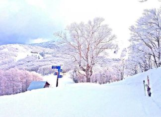 Du lịch Nhật Bản mùa đông