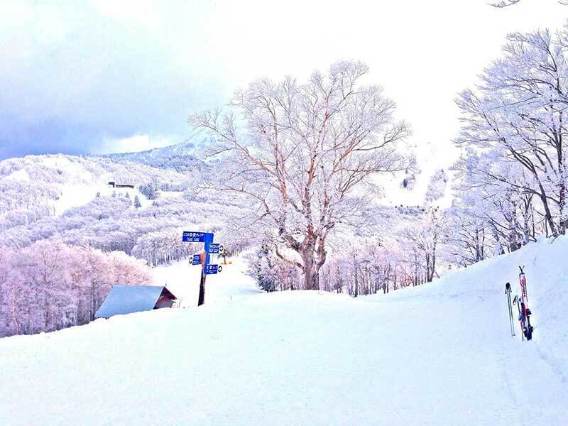 Du lịch Nhật Bản mùa đông