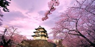 Khám phá vẻ đẹp bốn mùa khi du lịch Nhật Bản