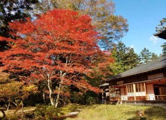 Cổng vào đền Nikko Toshogu rực rỡ sắc thu