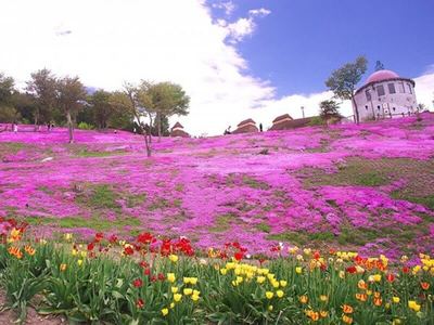 Cảnh sắc Hokkaido quyến rũ, mê đắm lòng người