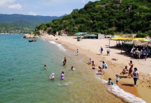 Toàn cảnh bãi biển Ninh Chữ với hàng dừa xanh mát và biển trong vắt
