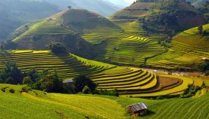 Thời gian du lịch ruộng bậc thang Yên Bái là vào mùa thu tháng 9, 10
