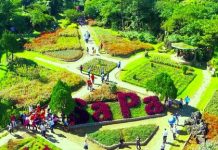 Ruộng bậc thang Sapa mùa lúa chín vàng óng ả