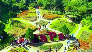 Ruộng bậc thang Sapa mùa lúa chín vàng óng ả