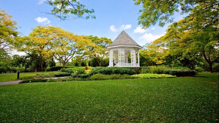 Botanic Gardens là điểm dừng chân tiếp theo trong tour du lịch Singapore mùa thu