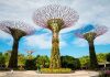 Đi tour du lịch Singapore – Dubai ghé thăm những điểm nổi tiếng nào? Gardens by the Bay - Điểm du lịch Singapore vào mùa Thu lý tưởng