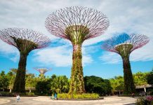 Đi tour du lịch Singapore – Dubai ghé thăm những điểm nổi tiếng nào? Gardens by the Bay - Điểm du lịch Singapore vào mùa Thu lý tưởng