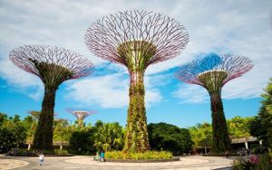 Gardens by the Bay - Điểm du lịch Singapore vào mùa Thu lý tưởng