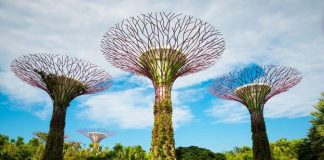 Gardens by the Bay - Điểm du lịch Singapore vào mùa Thu lý tưởng