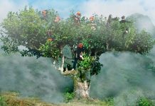 Du lịch Tây Bắc tự túc Du lịch Tây Bắc tự túc