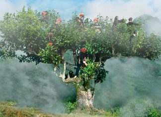 Du lịch Tây Bắc tự túc Du lịch Tây Bắc tự túc