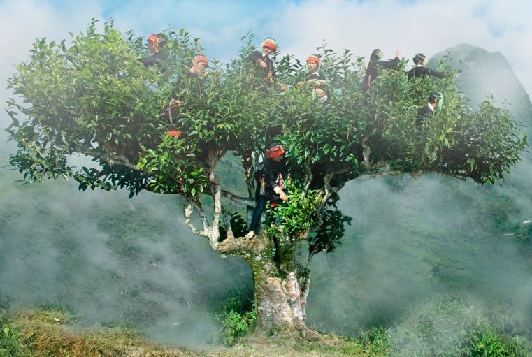 Du lịch Tây Bắc tự túc