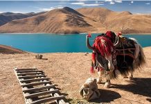 Cung điện Potala trong nắng thu rực rỡ