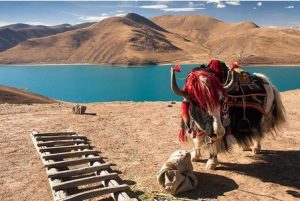 Cung điện Potala trong nắng thu rực rỡ