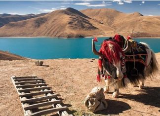 Du lịch Tây Tạng mùa Thu tháng 9 lý tưởng Cung điện Potala trong nắng thu rực rỡ