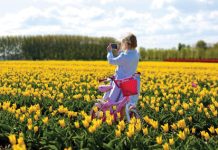 Mùa xuân rực rỡ với muôn hoa và cây cối đua nhau đâm chồi nảy lộc