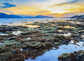 Tổng hợp những điểm đến thú vị bậc nhất trong hành trình du lịch Côn Đảo Hòn cau côn đảo