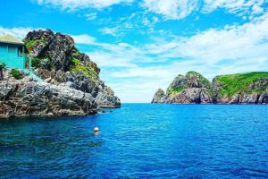 Lặn ngắm san hô tại Hòn Mun, Nha Trang