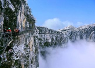 Cẩm nang du lịch Trương Gia Giới từ A đến Z Du lịch Trương Gia Giới khám phá chốn bồng lai tiên cảnh