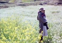 Toàn cảnh Mộc Châu với đồi chè xanh mướt