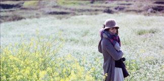 Toàn cảnh Mộc Châu với đồi chè xanh mướt