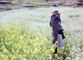 Toàn cảnh Mộc Châu với đồi chè xanh mướt