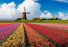 Làm visa Hà Lan theo diện kết hôn gồm những hồ sơ gì?