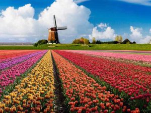 Làm visa Hà Lan theo diện kết hôn gồm những hồ sơ gì?