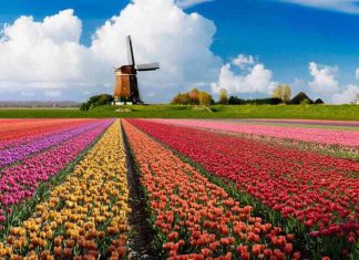 Thủ tục làm visa Hà Lan theo diện kết hôn Làm visa Hà Lan theo diện kết hôn gồm những hồ sơ gì?