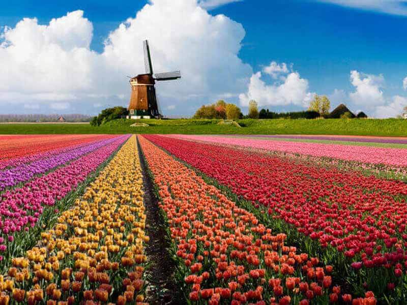 Làm visa Hà Lan theo diện kết hôn gồm những hồ sơ gì?