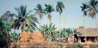 Miền Tây sông nước mênh mông