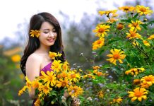 Du khách ngắm hoa dã quỳ vàng rực ở Đà Lạt