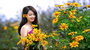 Du khách ngắm hoa dã quỳ vàng rực ở Đà Lạt