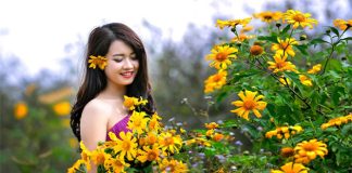 Du khách ngắm hoa dã quỳ vàng rực ở Đà Lạt
